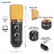 USB Condenser Microphone Studio Audio Broadcast Sound Recording Tripod Stand