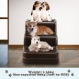 Voilamart 3 Steps Pet Ladder Foldable Cat Doggy Plastic Washable Dog Stairs Ramp Portable
