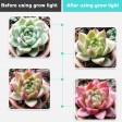 LED 225 Grow Light Hydroponic Full Spectrum Indoor Veg Flower Plant Lamp Panel